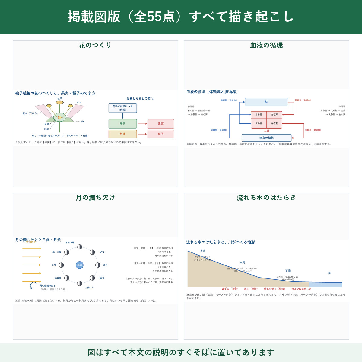 図版サンプル