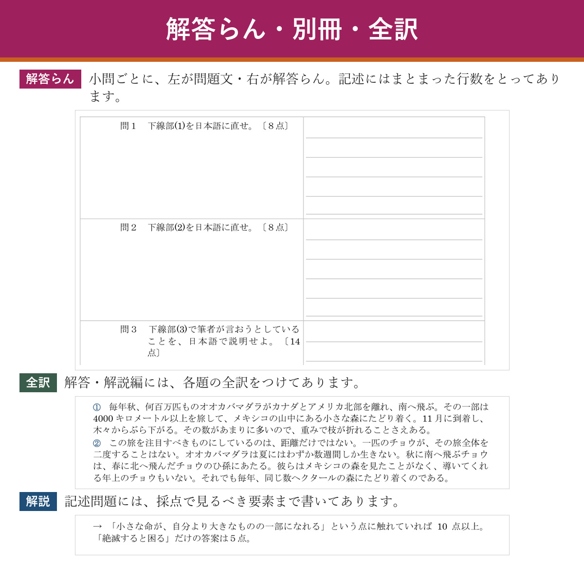 解答らん・全訳・解説