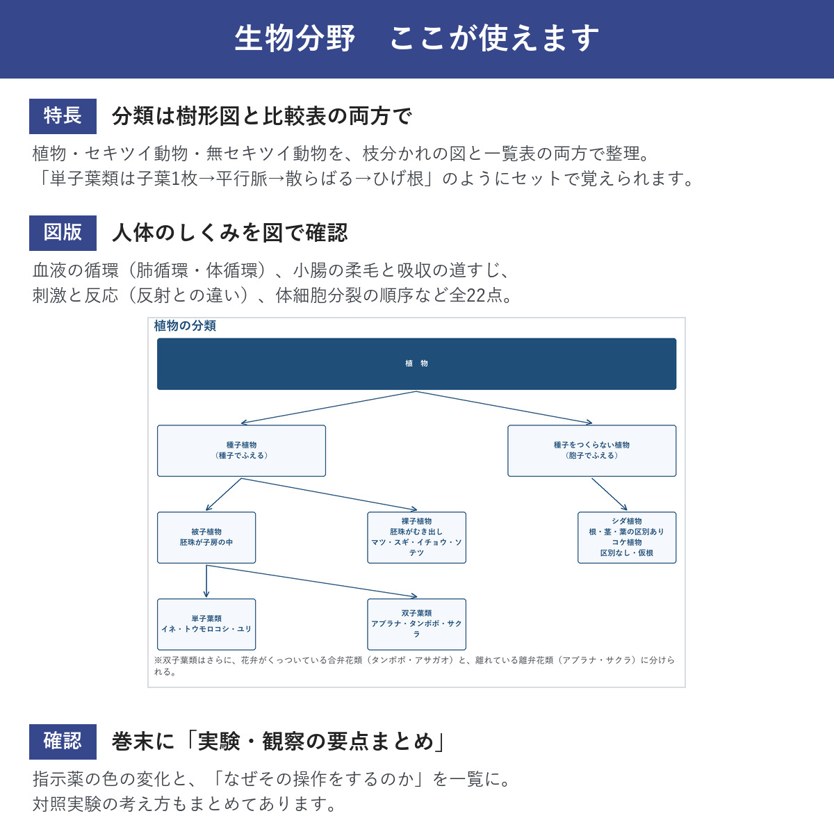 特長