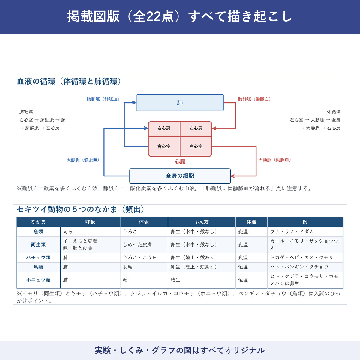 図版サンプル
