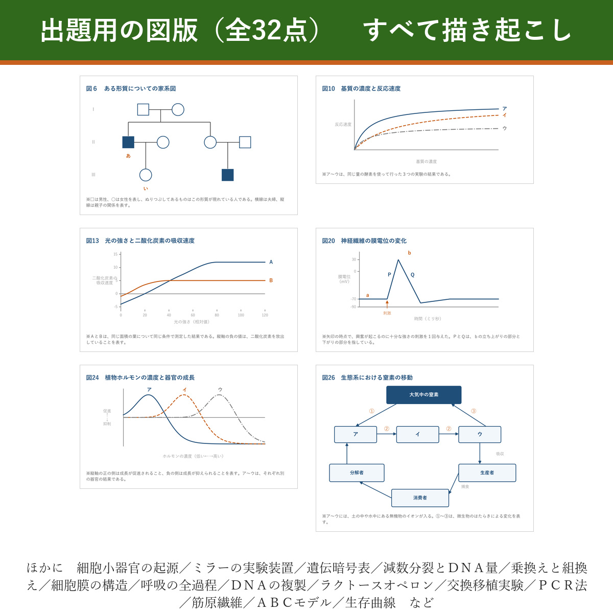出題用の図版サンプル