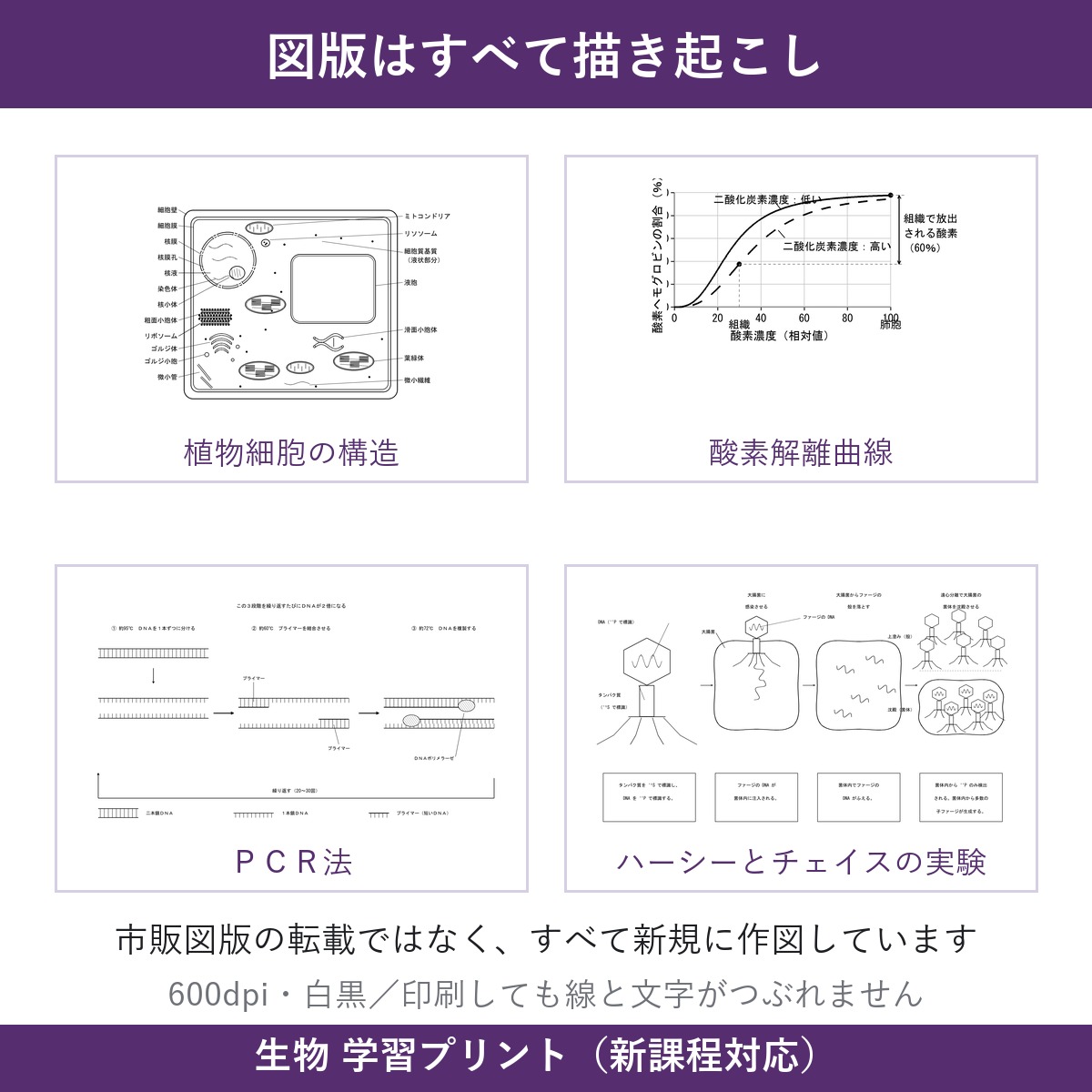 図版サンプル