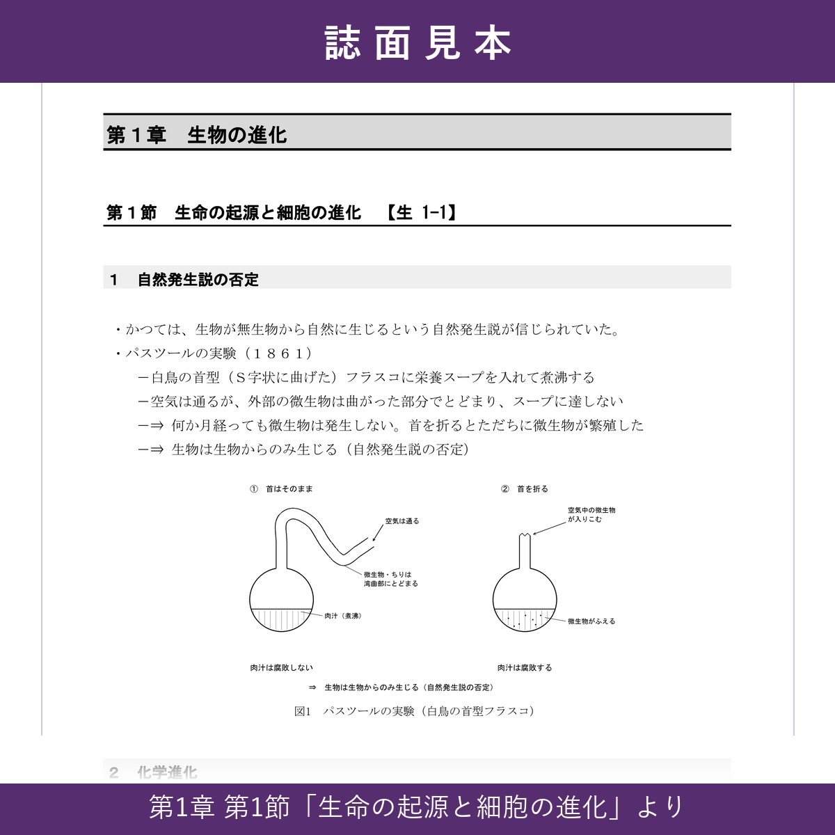 誌面見本