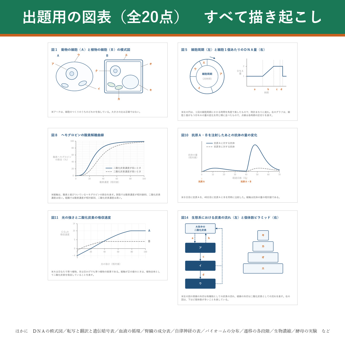 出題用の図表サンプル