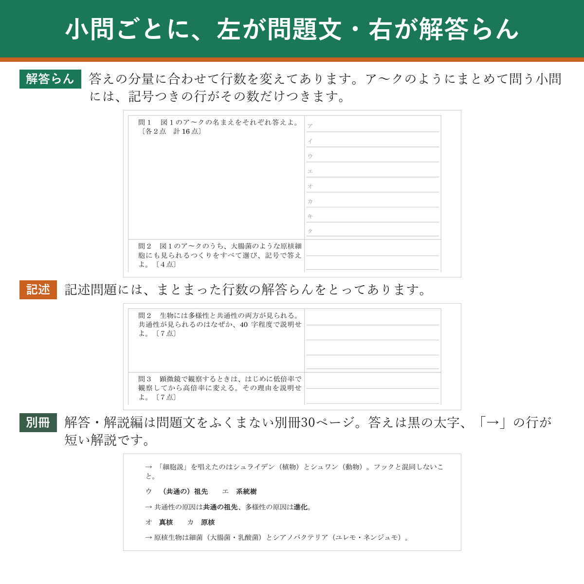 解答らんのつくり(左が問題文・右が解答らん)