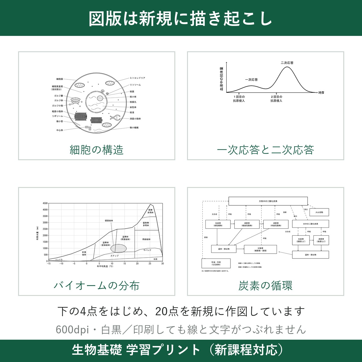 図版サンプル