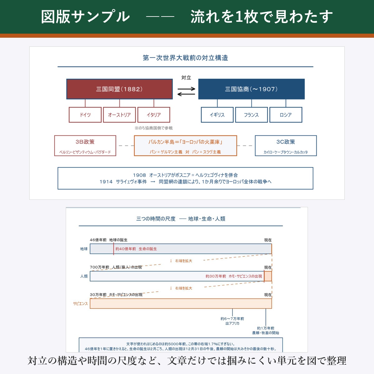 図版サンプル